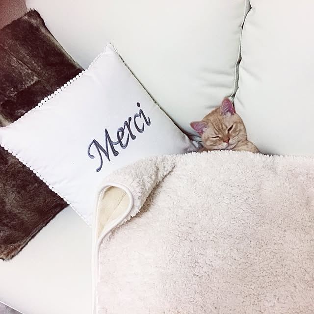 maさんの実例写真