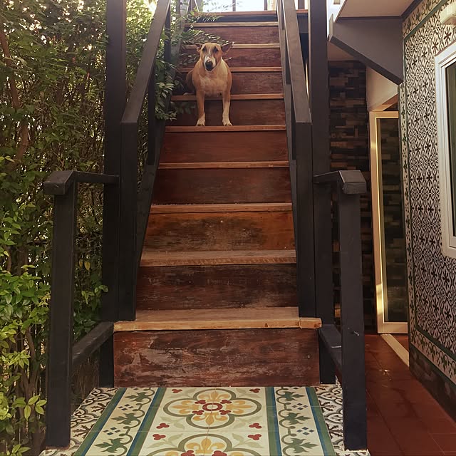 実例写真