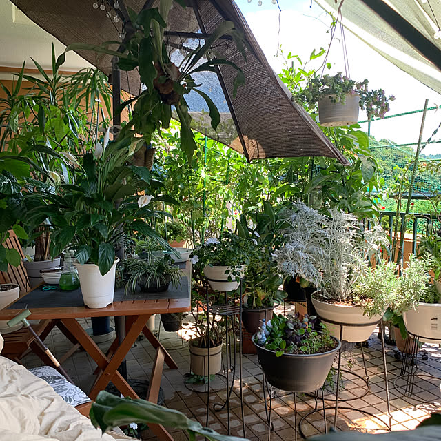 Aqettyさんの部屋