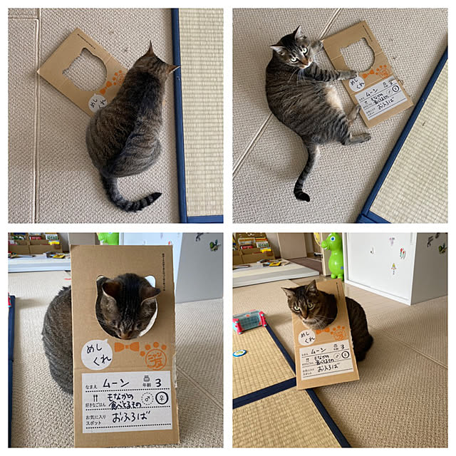 mikomaruさんの実例写真