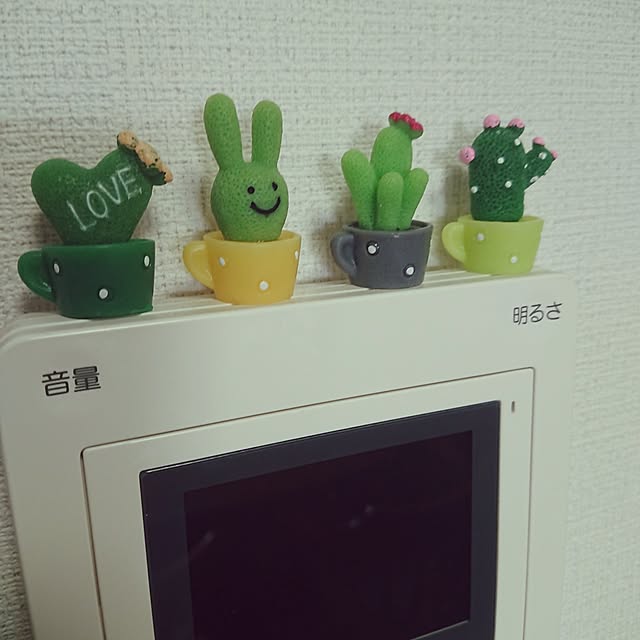 hopkeiさんの実例写真