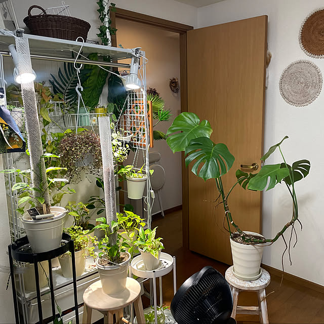 部屋全体のインテリア実例 - 2025-04-30 08:01:49