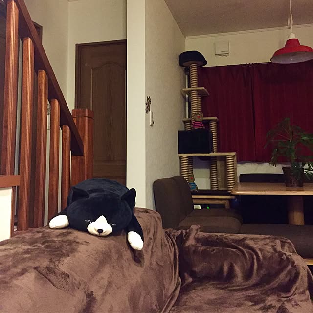 butachanさんの実例写真