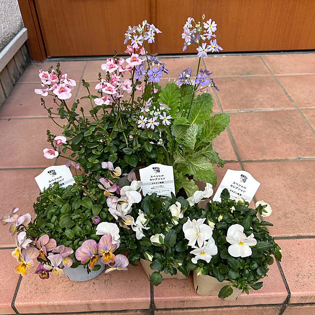 fumikoiさんの部屋