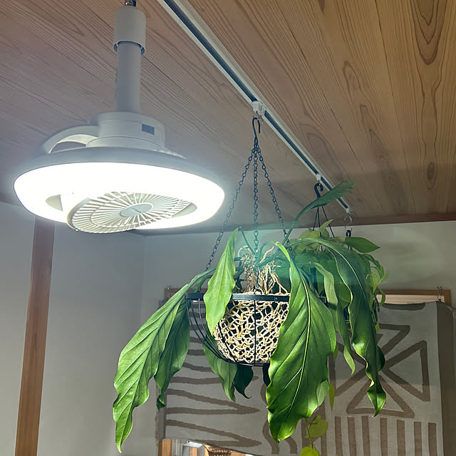 hira_muji_mihiさんの実例写真