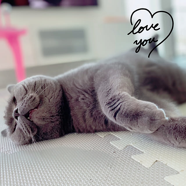 pinkpepperさんの実例写真