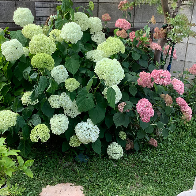 taeさんの実例写真