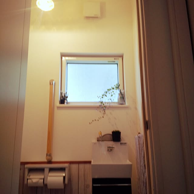 バス/トイレ/グリーン多め/多肉植物/照明/ｷｬﾝﾄﾞｩリメイクシート...などのインテリア実例 - 2015-02-08 13:32:51