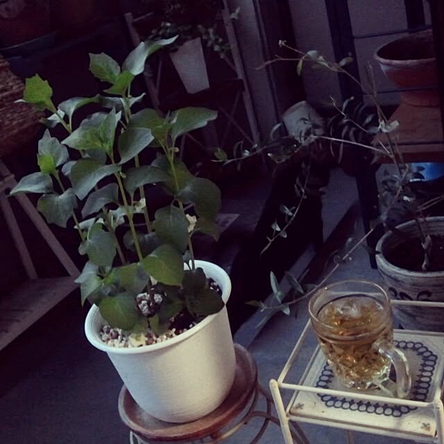 Misatoさんの実例写真