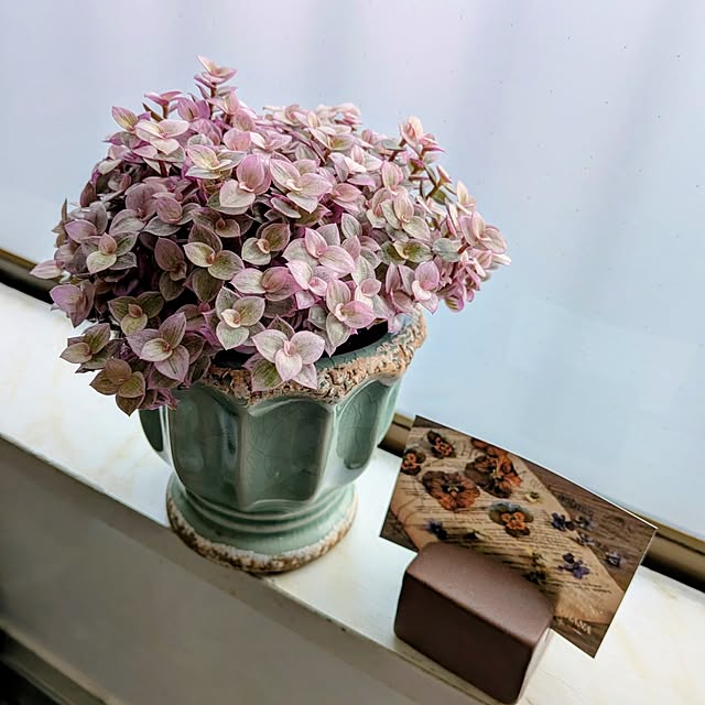 Renさんの実例写真