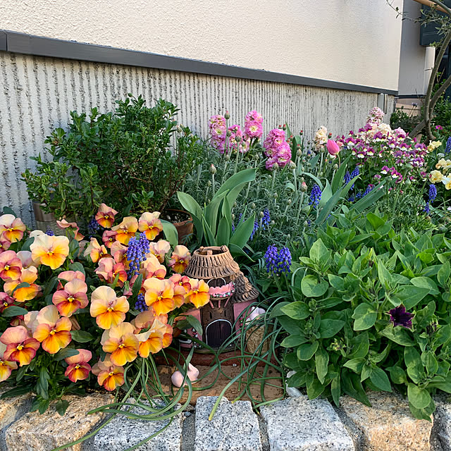 AINIさんの部屋