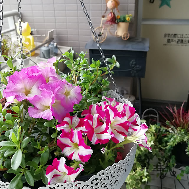 mayumiさんの実例写真
