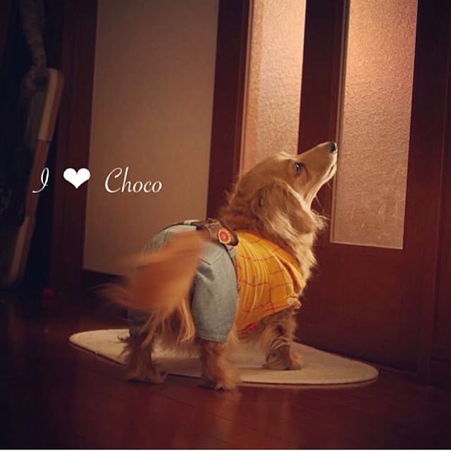 choco_tanさんの実例写真