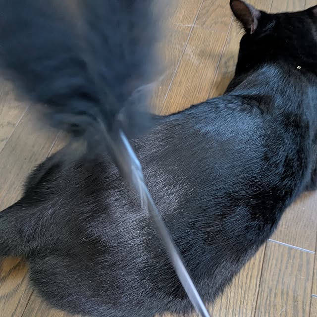 asaさんの部屋