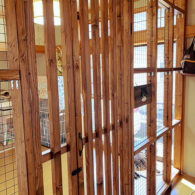 vol.3934写真