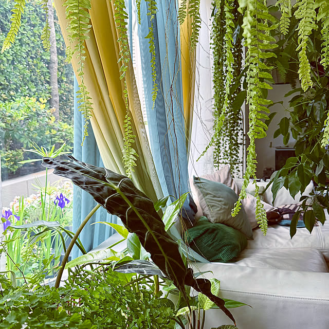 DAYONEさんの実例写真