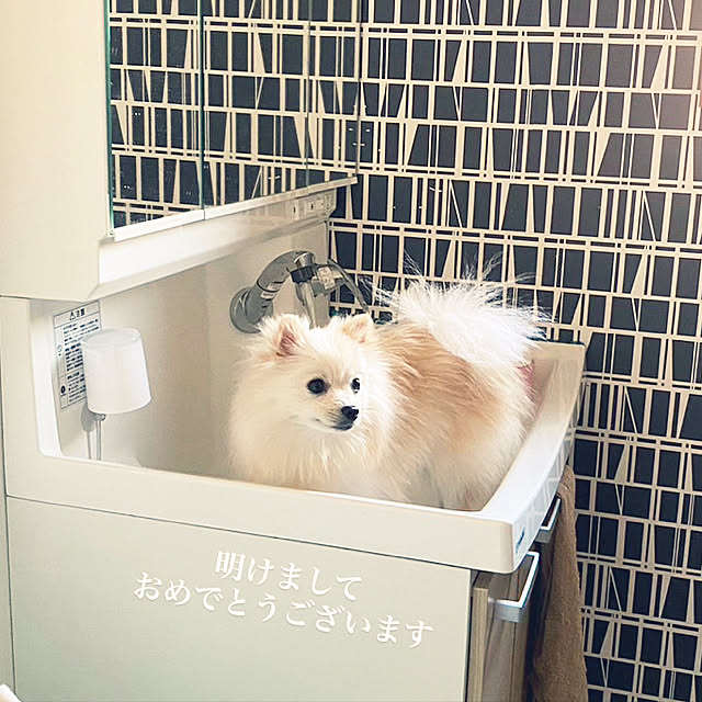 1546さんの実例写真