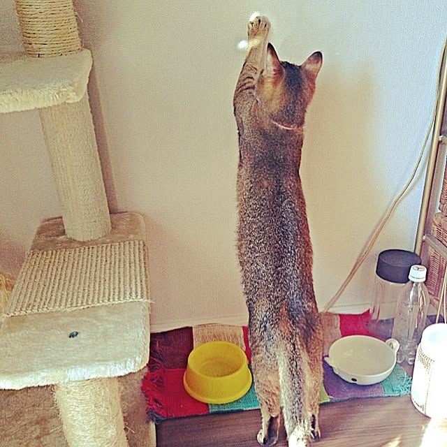 1633さんの実例写真
