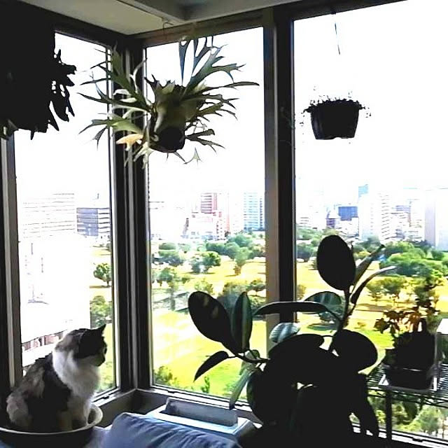 ponさんの実例写真