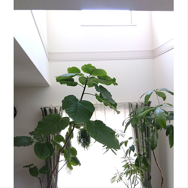 aquaさんの部屋