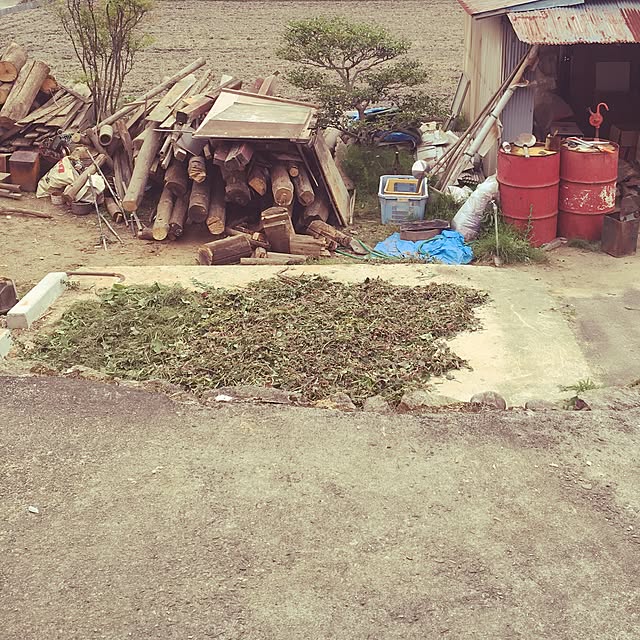 Y0206さんの実例写真