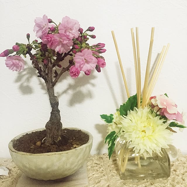 atsukoさんの実例写真