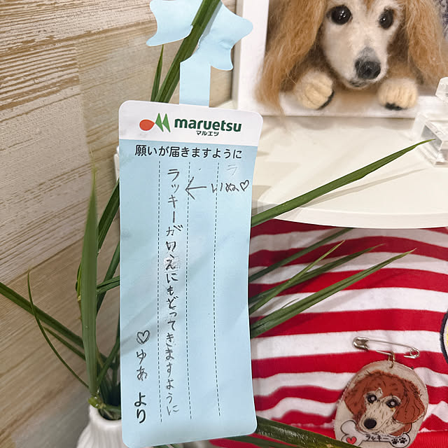 miyuさんの部屋