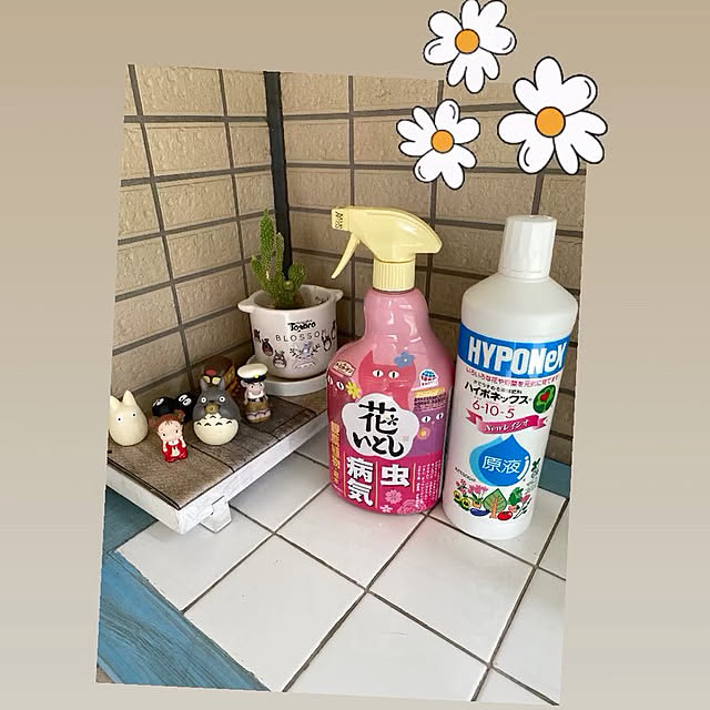 YuuKoさんの実例写真