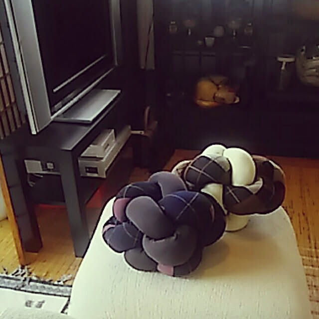 spinetailさんの実例写真