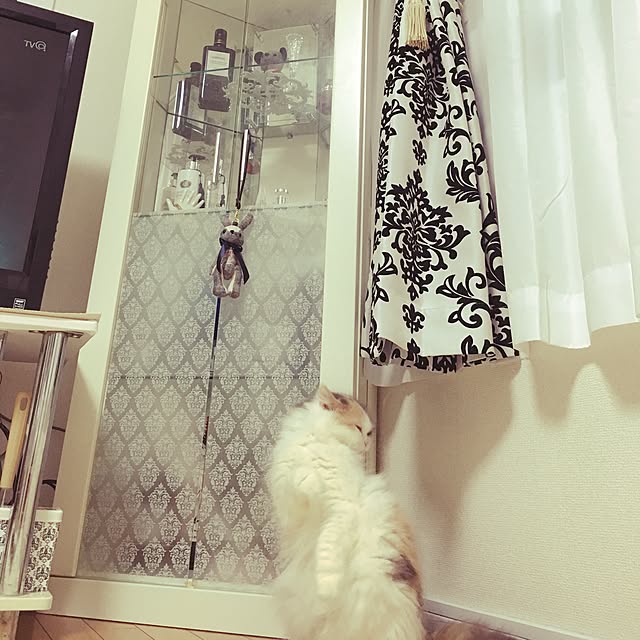 mikaさんの実例写真