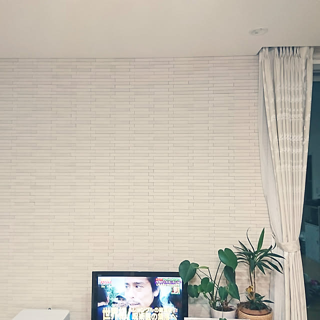 RUIさんの実例写真