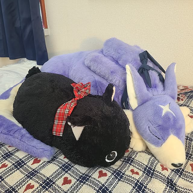 Kiyoさんの実例写真