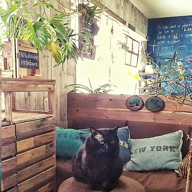 ugさんの実例写真