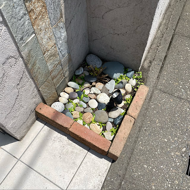 kasさんの実例写真