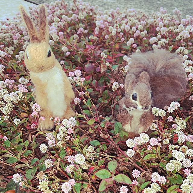 AYUKOさんの実例写真