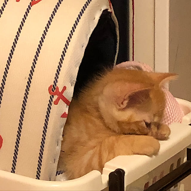 AXISさんの実例写真