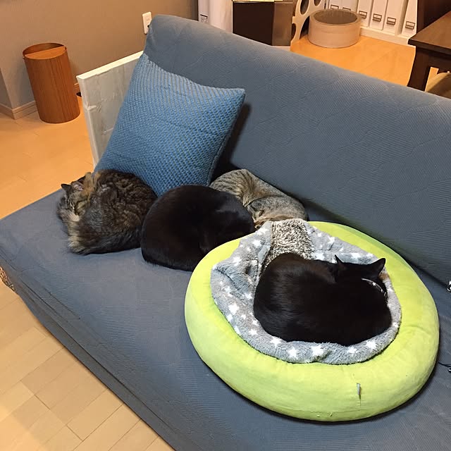 yuki0511さんの実例写真