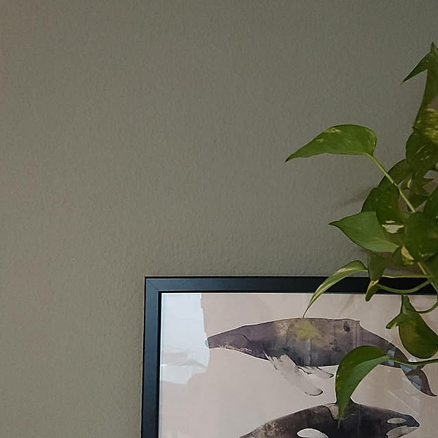 Mさんの実例写真