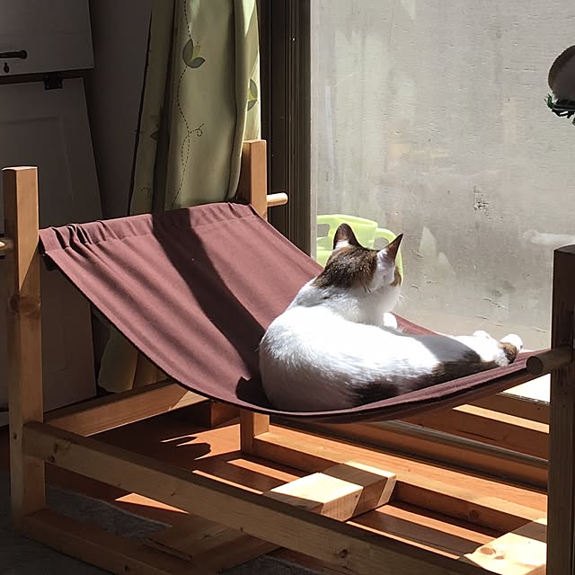 natsu.mitsuさんの実例写真