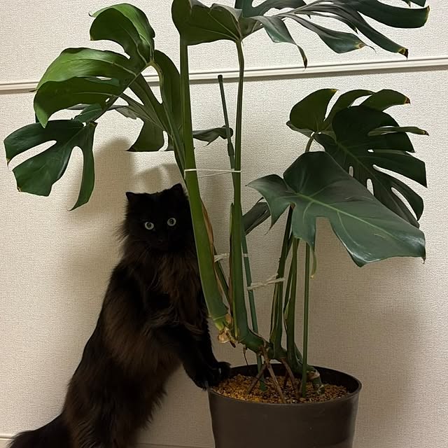kumiさんの部屋