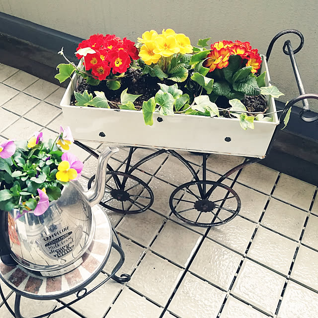 mayumiさんの実例写真