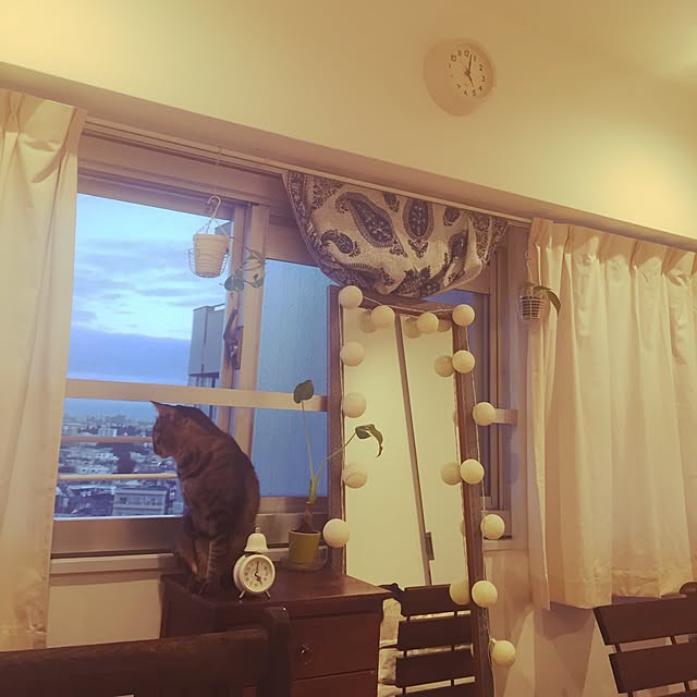 komaさんの実例写真