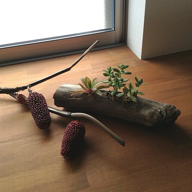 makiさんの実例写真