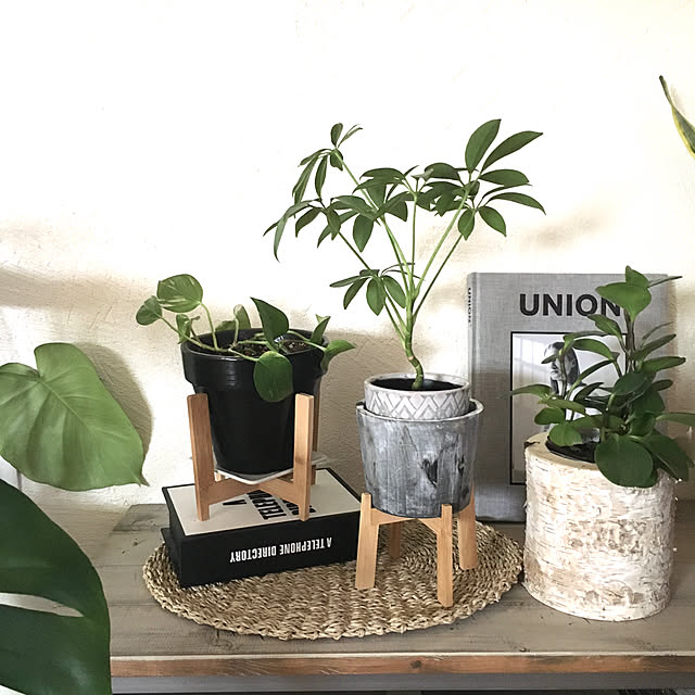 nuunao2019さんの実例写真