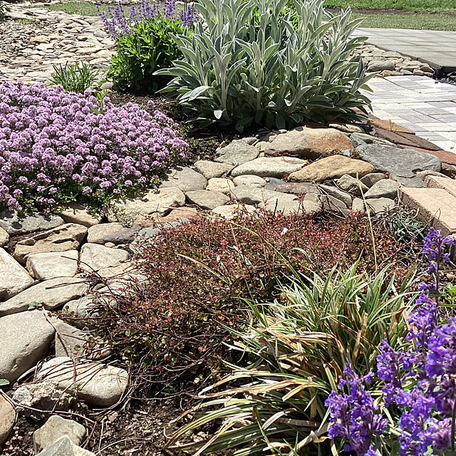 rasaerryさんの実例写真