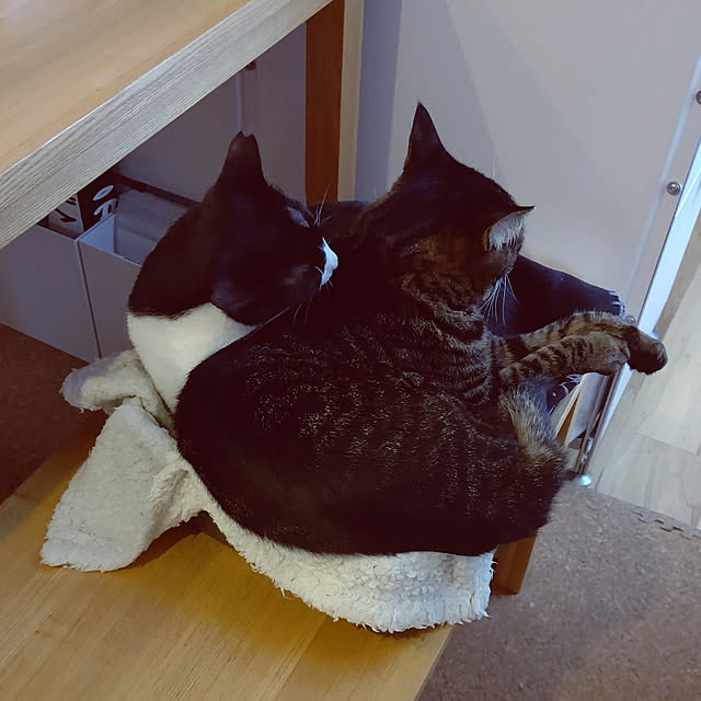 hihaさんの実例写真
