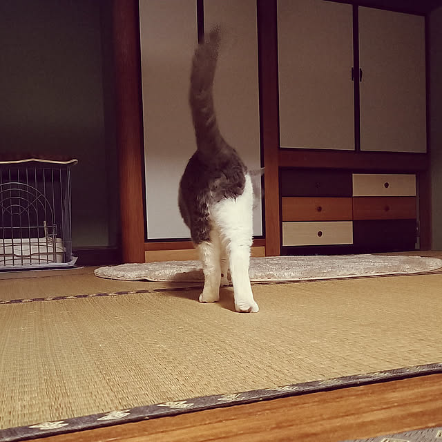 rhuさんの実例写真