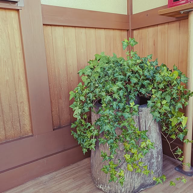 miyashiroさんの実例写真