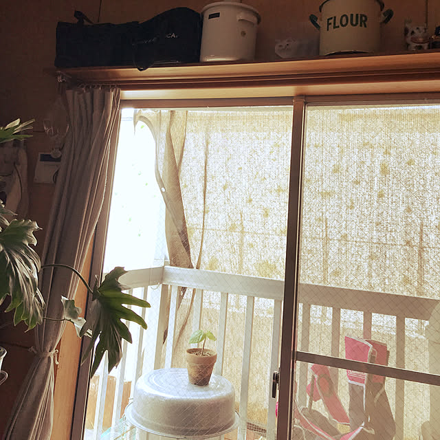 misamisa1113さんの実例写真
