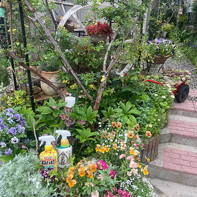 na-chanさんの実例写真